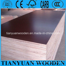 18mm Finger-Joint Core Brown Film Faced Plywood